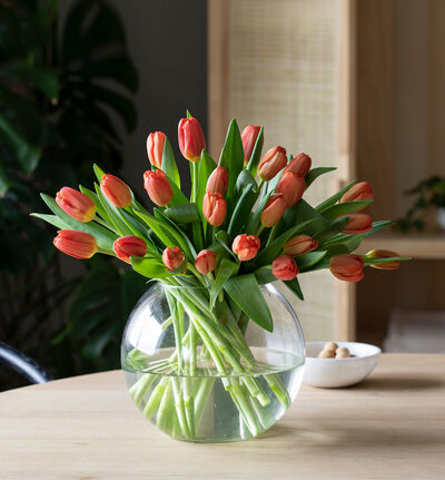 Oransje tulipanbukett stor